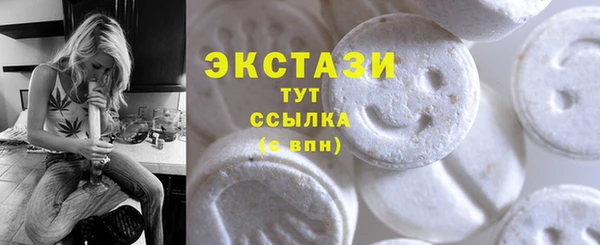 мдпв Осташков