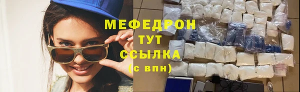 индика Белокуриха