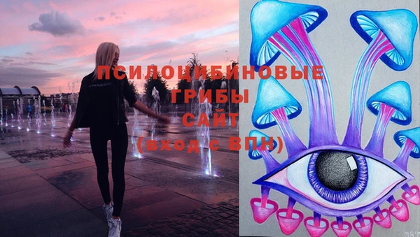 индика Белокуриха