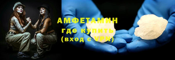 индика Белокуриха