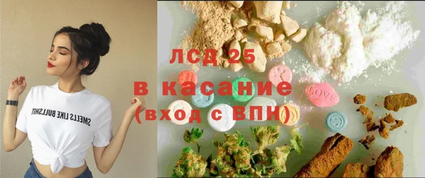 индика Белокуриха