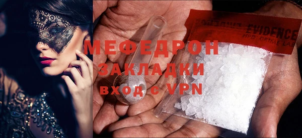индика Белокуриха
