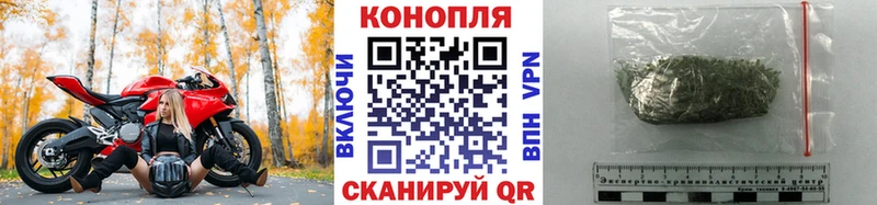 как найти наркотики  блэк спрут рабочий сайт  Конопля LSD WEED  Славгород 